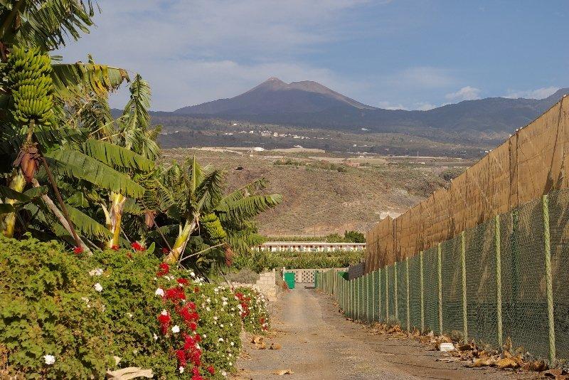 Hotel Rural El Navio - Adults Only Alcala  Ngoại thất bức ảnh