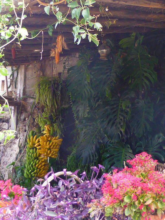 Hotel Rural El Navio - Adults Only Alcala  Ngoại thất bức ảnh